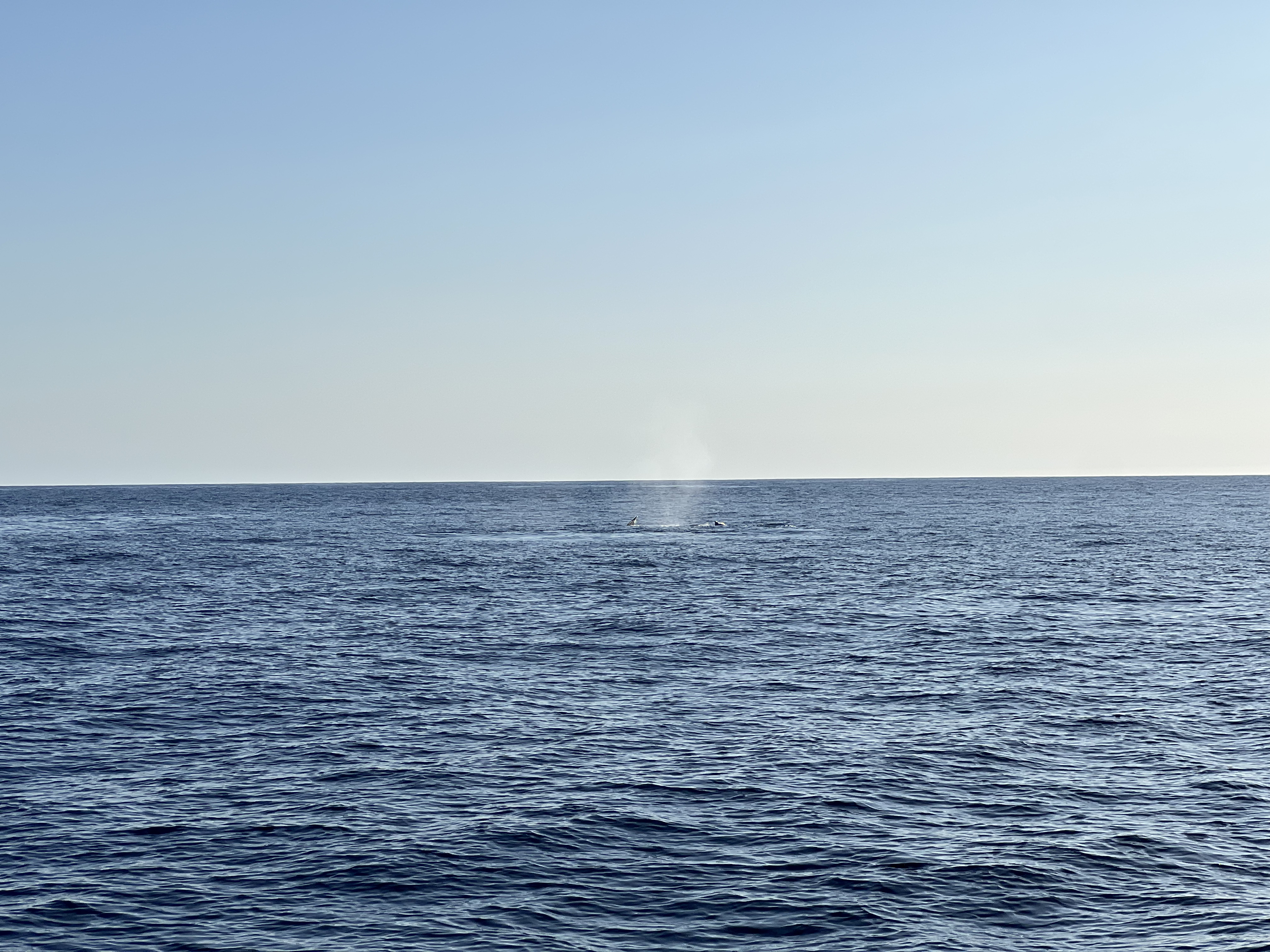 ./2024/13 - Cabo/IMG_4666.jpg